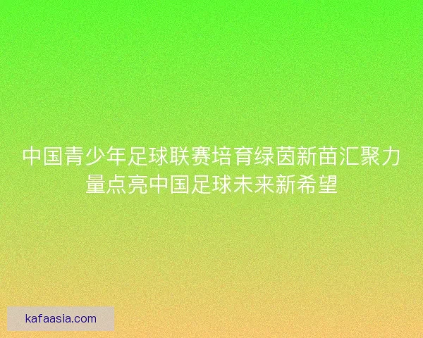 中国青少年足球联赛培育绿茵新苗汇聚力量点亮中国足球未来新希望